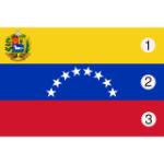 Venezuelan Flag