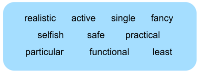 Options: realistic, active, single, fancy, selfish, safe, practical, particular, functional, least.