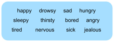 Options: happy, drowsy, sad, hungry, sleepy, thirsty, bored, angry, tired, nervous, sick, jealous.